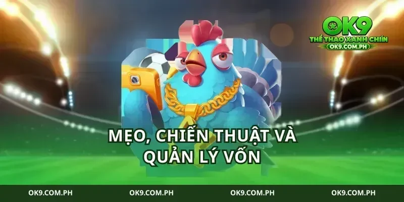 Mẹo, chiến thuật và quản lý vốn