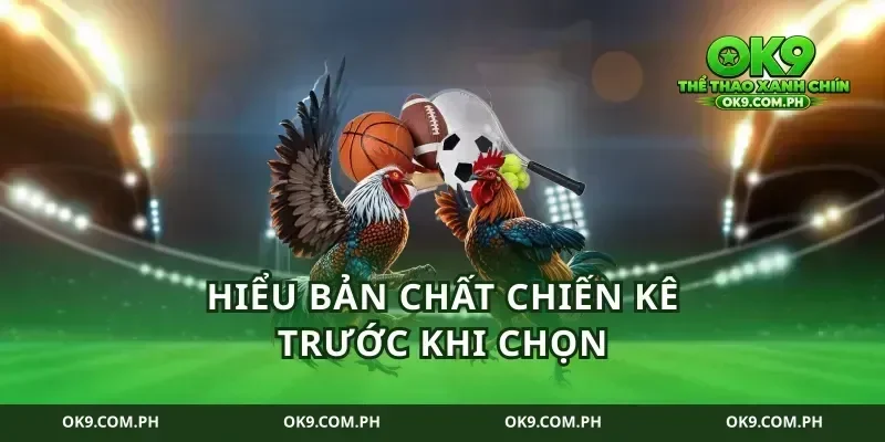 Hiểu bản chất chiến kê trước khi chọn