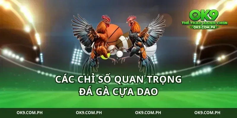 Các chỉ số quan trọng đá gà cựa dao