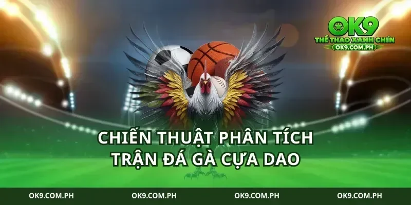 Chiến thuật phân tích trận đá gà cựa dao