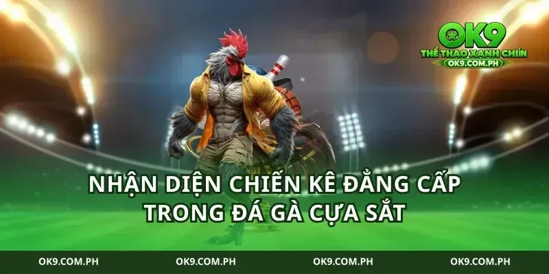 Nhận diện chiến kê đẳng cấp trong đá gà cựa sắt