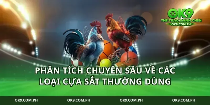 Phân tích chuyên sâu về các loại cựa sắt thường dùng