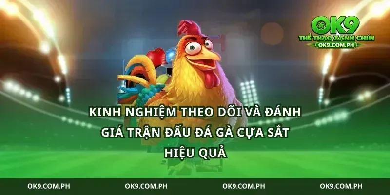 Kinh nghiệm theo dõi và đánh giá trận đấu đá gà cựa sắt hiệu quả