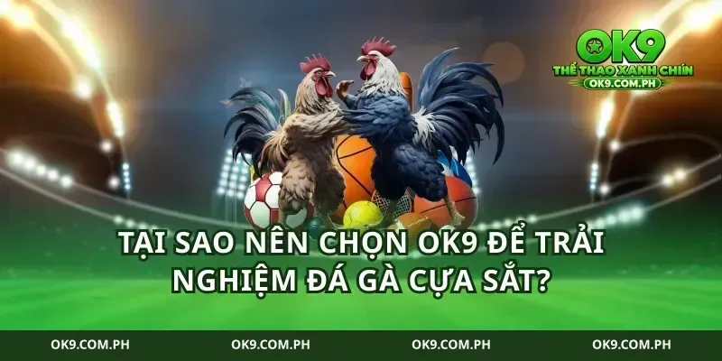 Tại sao nên chọn ok9 để trải nghiệm đá gà cựa sắt?