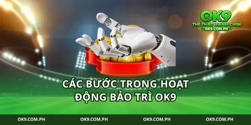 Các Bước Trong Hoạt Động Bảo Trì Ok9