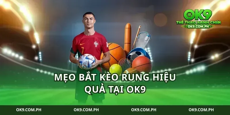 Mẹo bắt kèo rung hiệu quả tại ok9