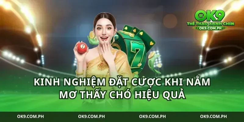 Kinh nghiệm đặt cược khi nằm mơ thấy chó hiệu quả